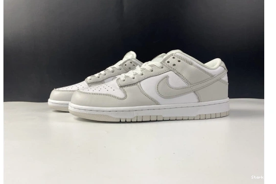 Dunk DD1503-103 "Photon Low Nike Dust" 1022